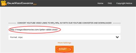 How to Download Mega Videos Online .